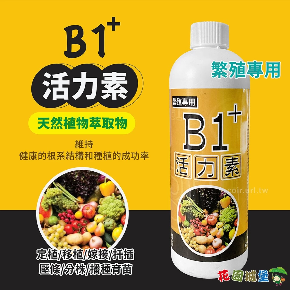 B1 移植活力素(促進根系恢復)
