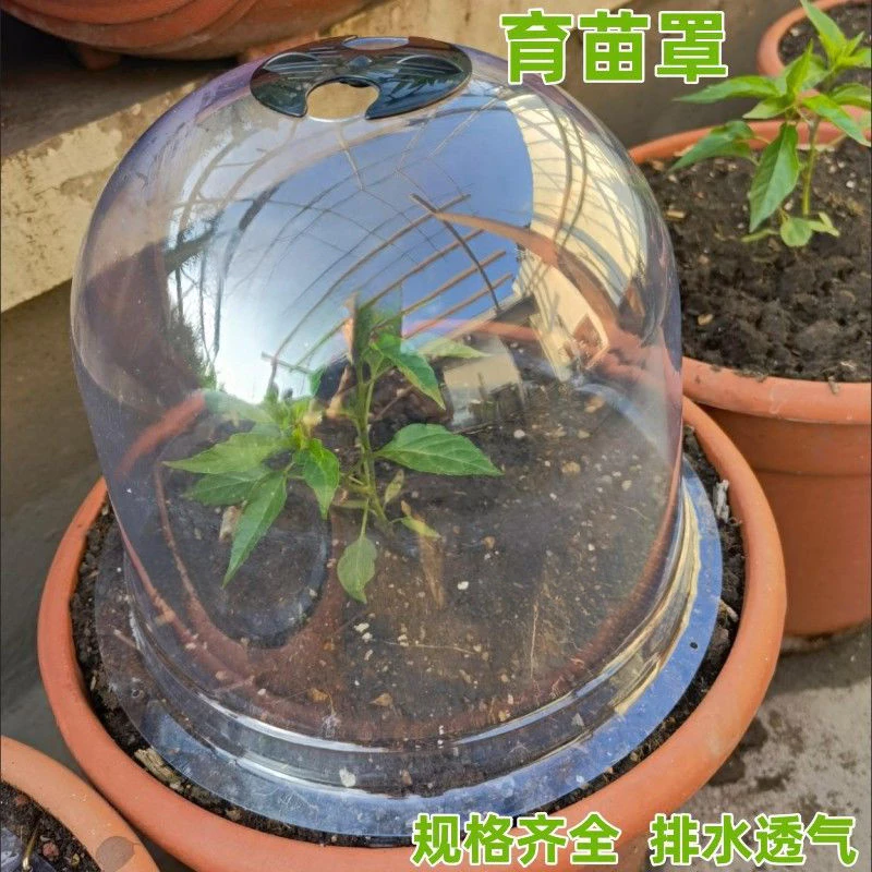 透明保濕悶養罩